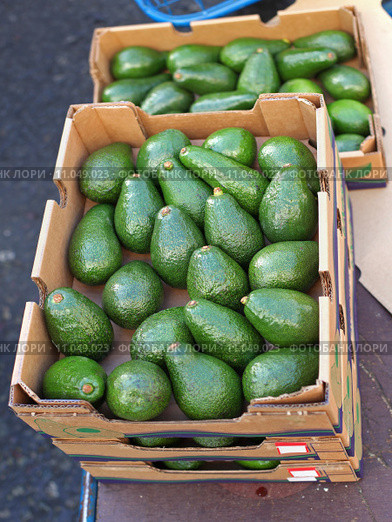 авокадо зеленое