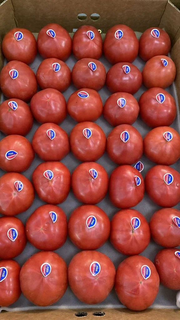 томат розовый