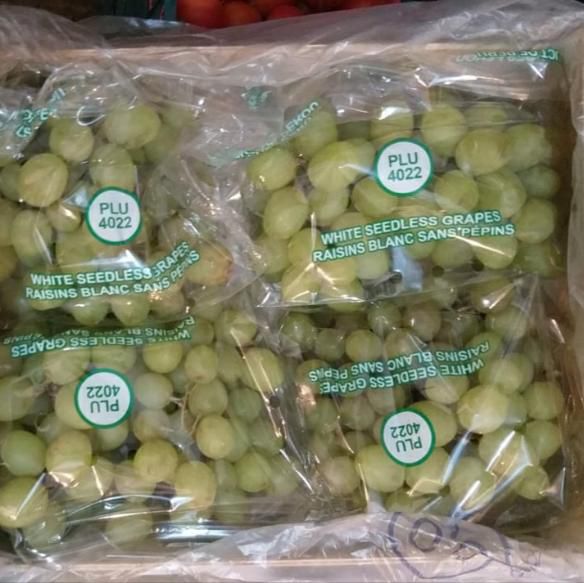 виноград томсон