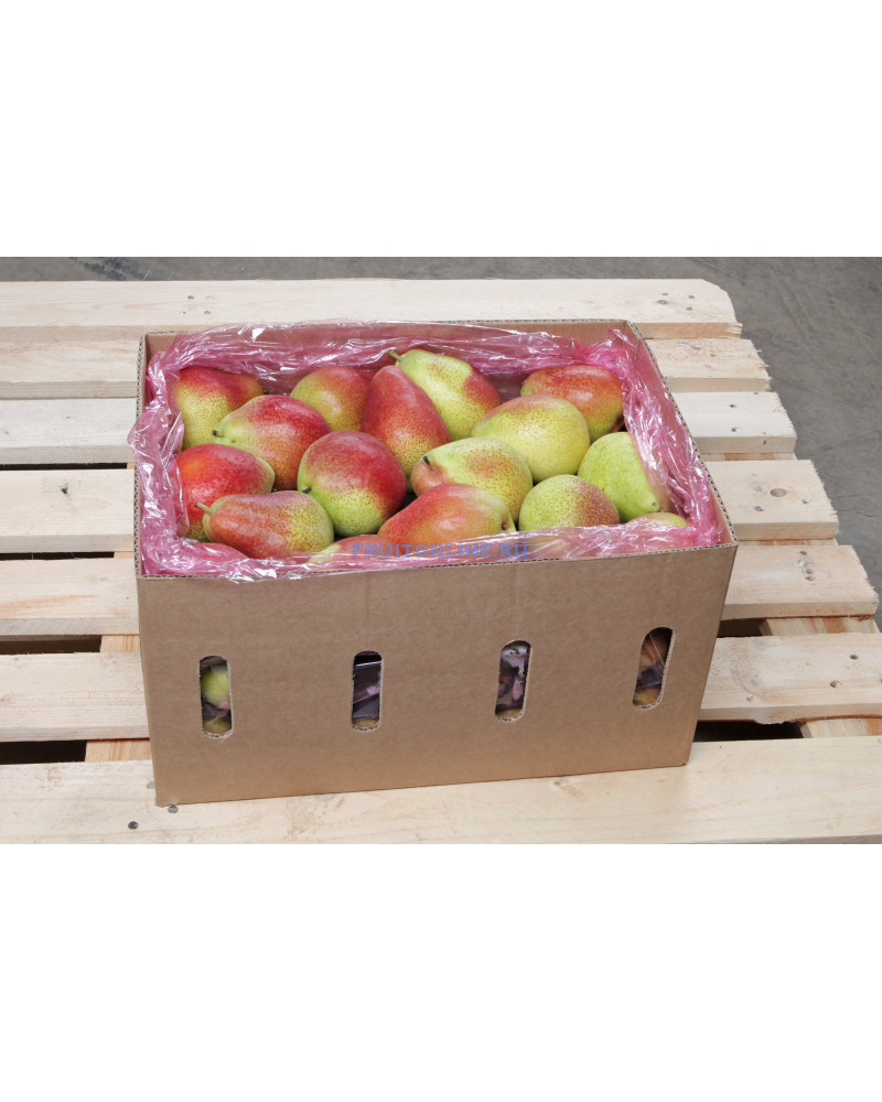 груша форель