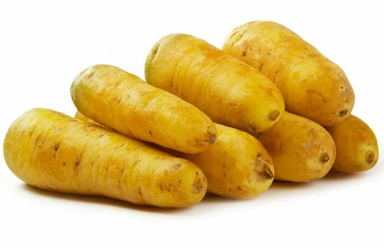 морковь желтая