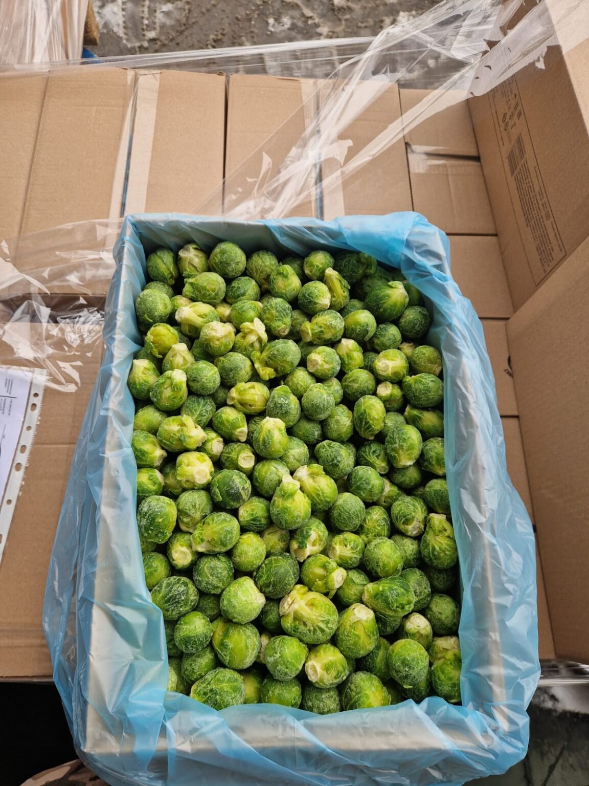 капуста брюссельская