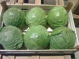 капуста б/к н/у