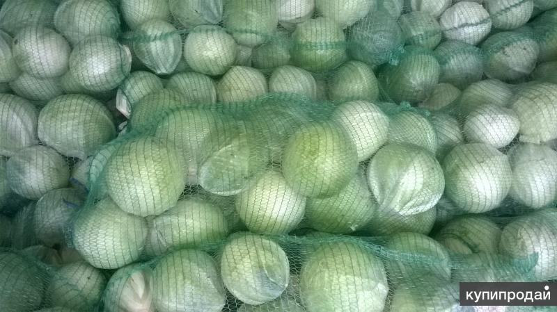 капуста б/к