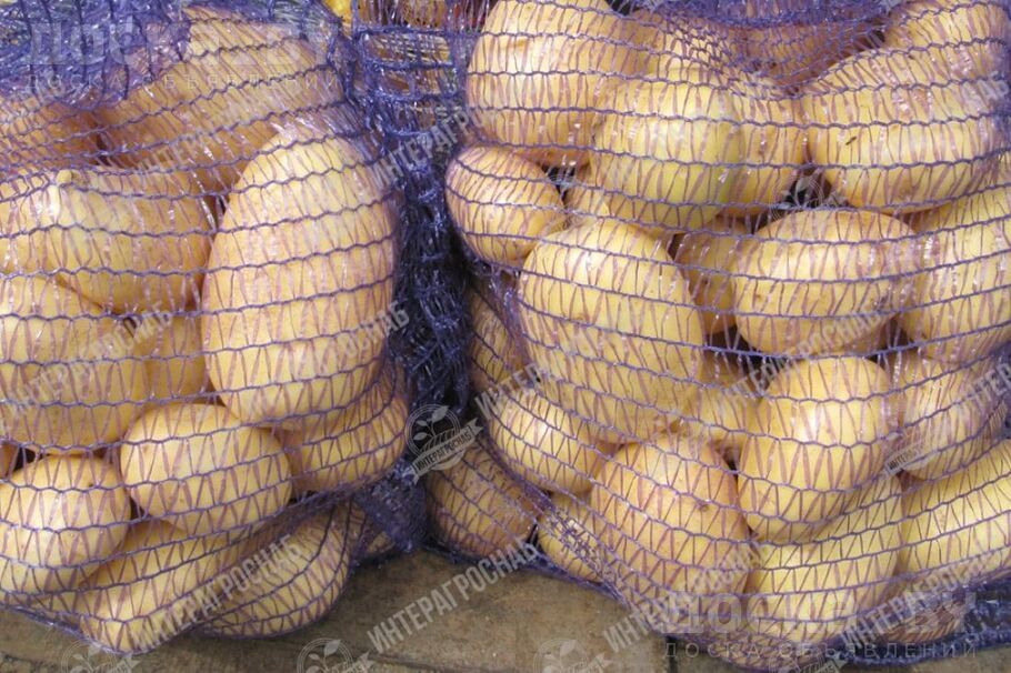 картофель белый мытый