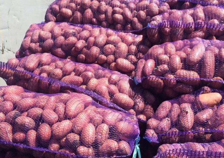 картофель красный мытый