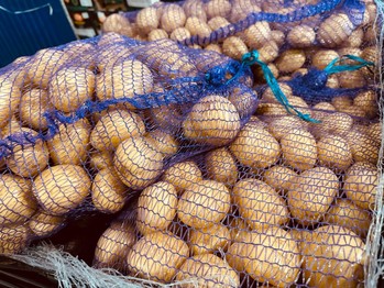 картофель белый мытый