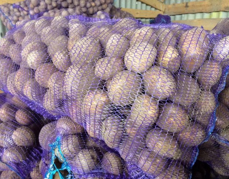 картофель белый мытый