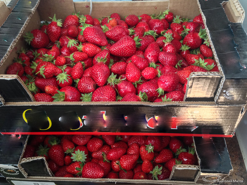 клубника импорт