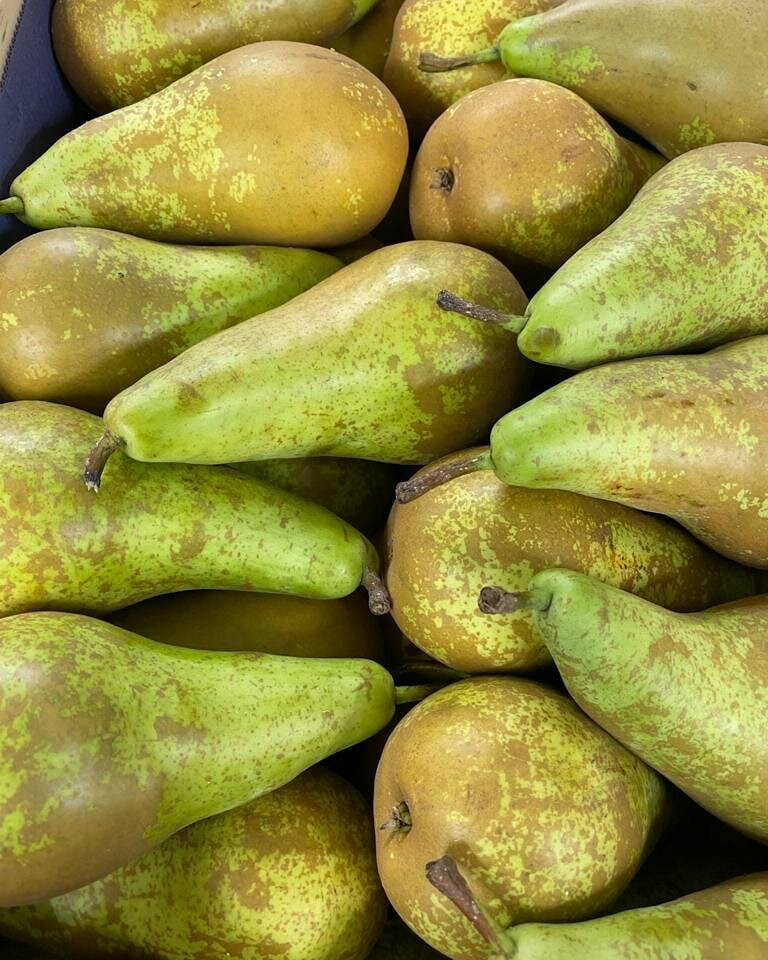 груша конференц