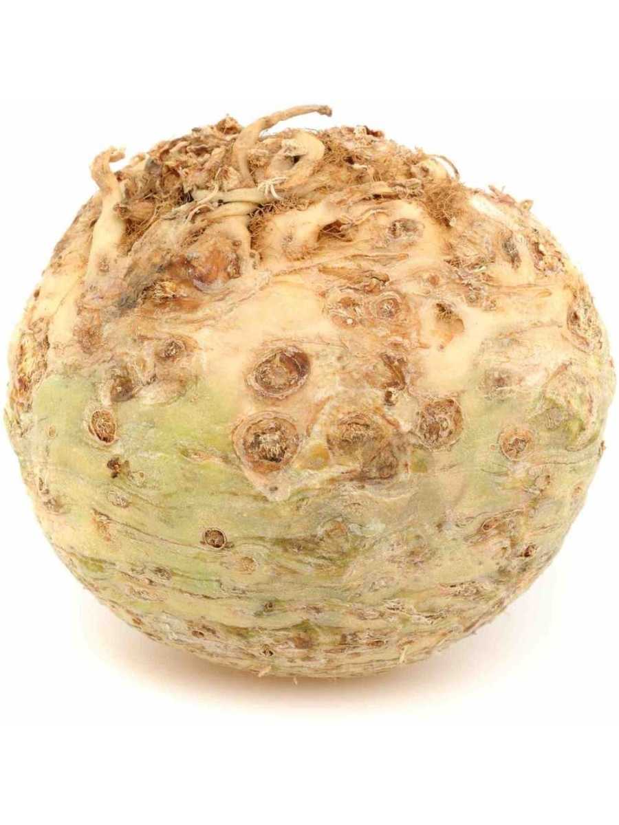 сельдерей корень