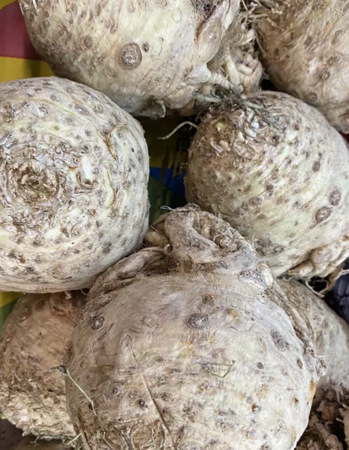 сельдерей корень