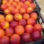 апельсин красный