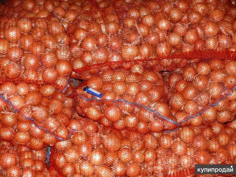 лук репчатый желтый