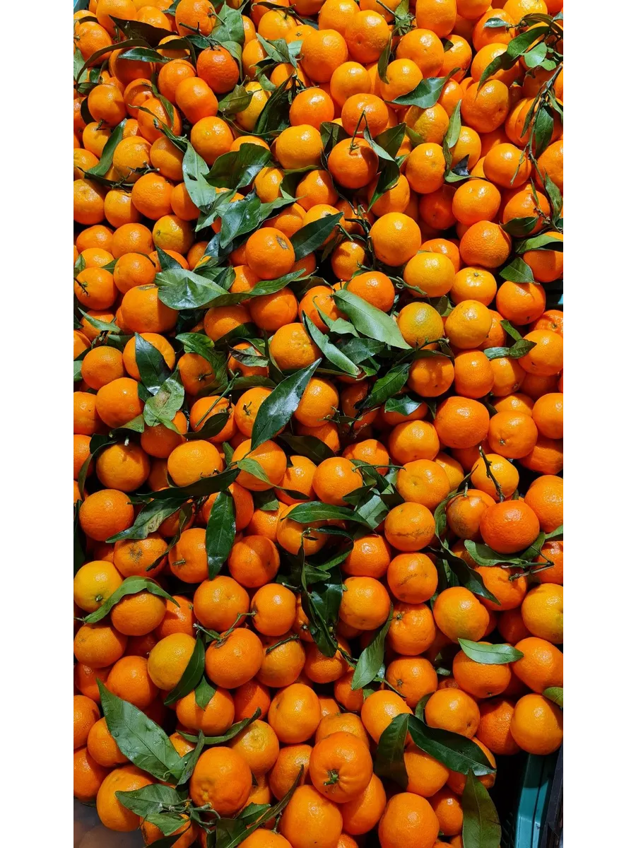 мандарин мини