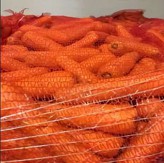 морковь мытая