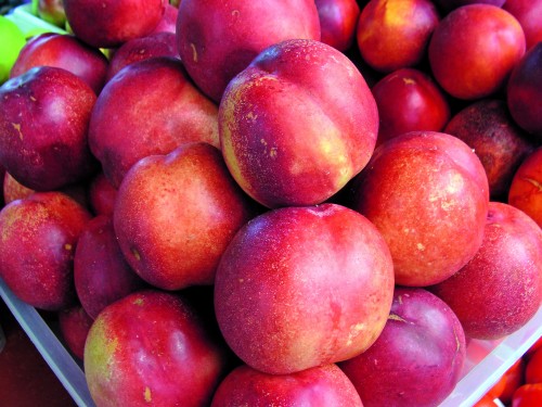 нектарин круглый