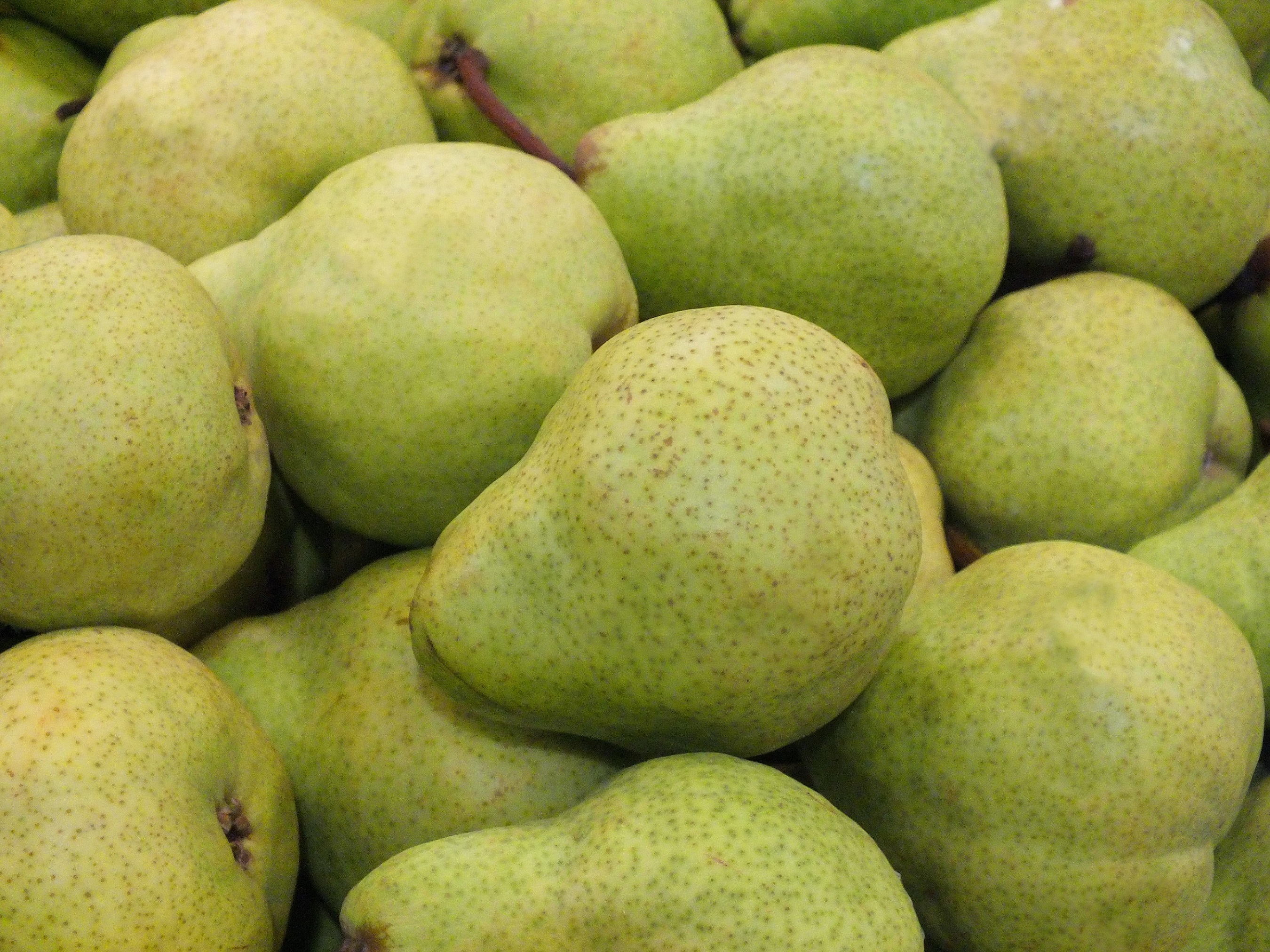 груша пакхам