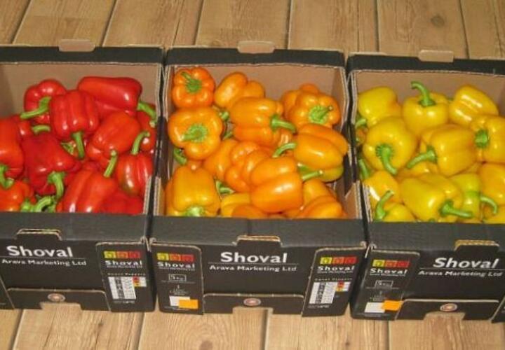 перец сладкий красный