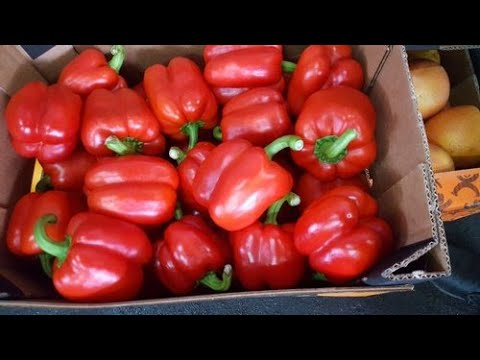 перец сладкий красный