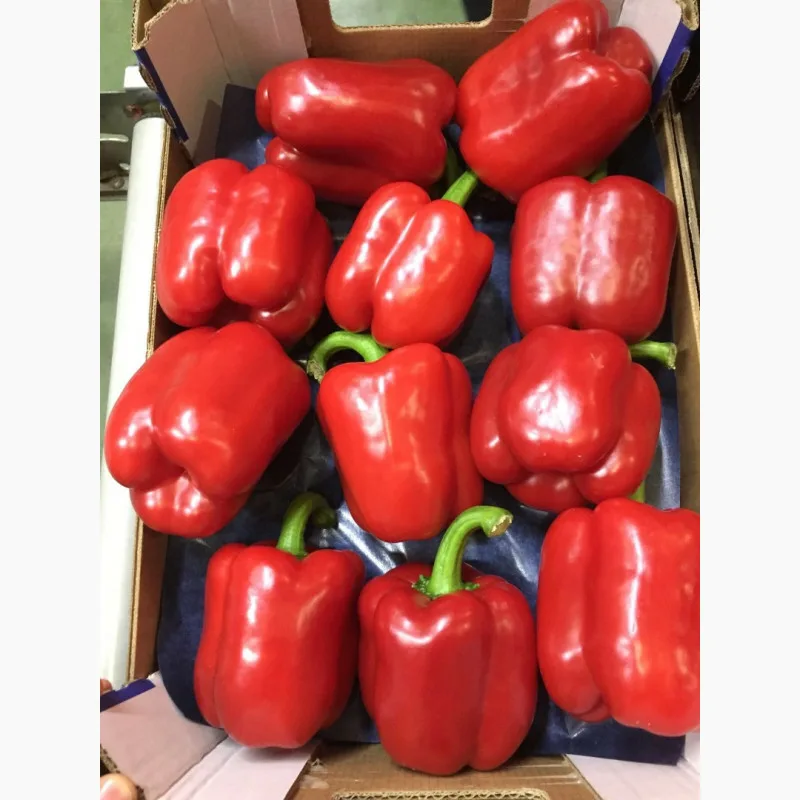 перец сладкий красный