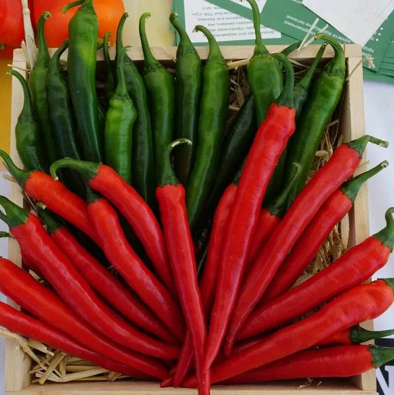 перец чили красный