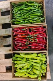 перец чили красный