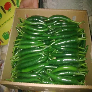 перец чили зеленый