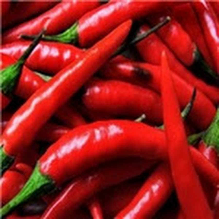 перец чили красный