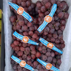 виноград ред глоб