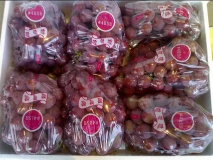 виноград ред глоб