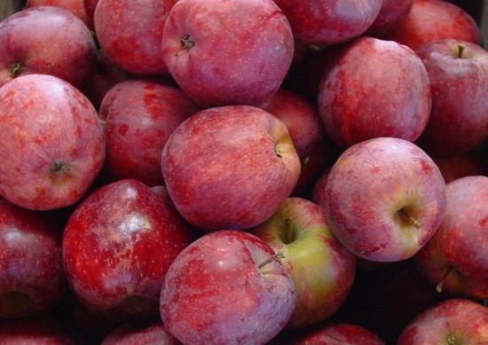 яблоко ред делишес