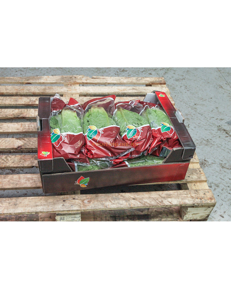 салат ромэйн