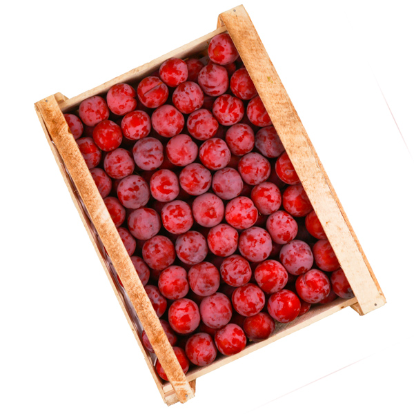 слива красная