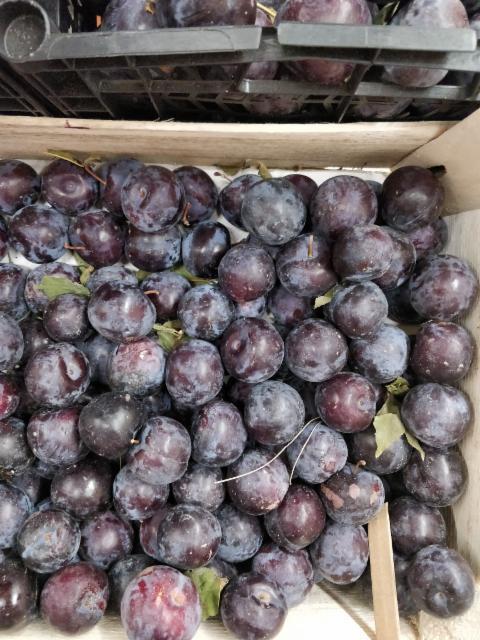 слива черная