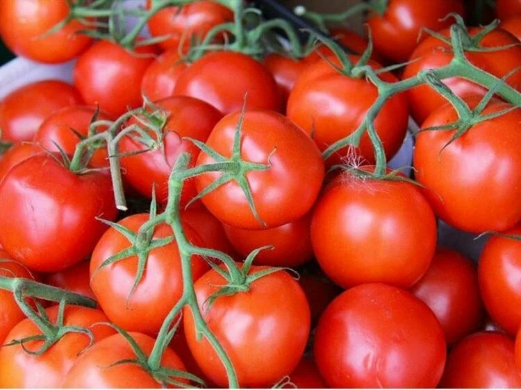 томат ветка