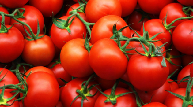 томат ветка