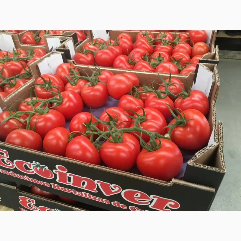 томат ветка