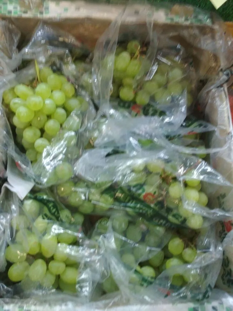 виноград томсон