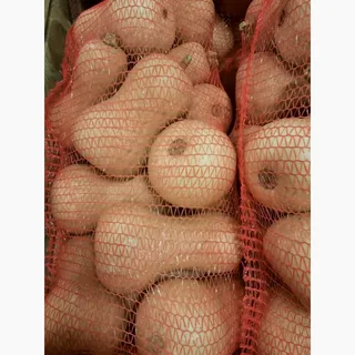 тыква бутылка