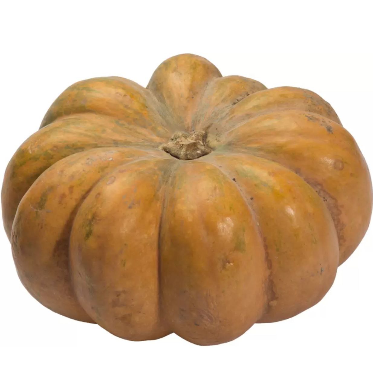 тыква круглая