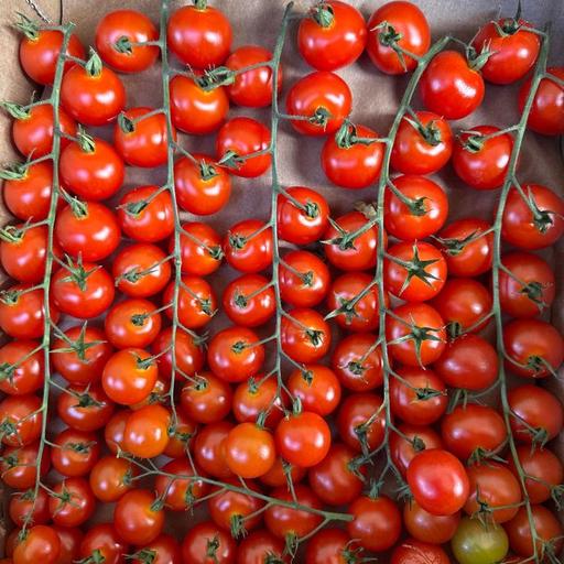 томат черри ветка