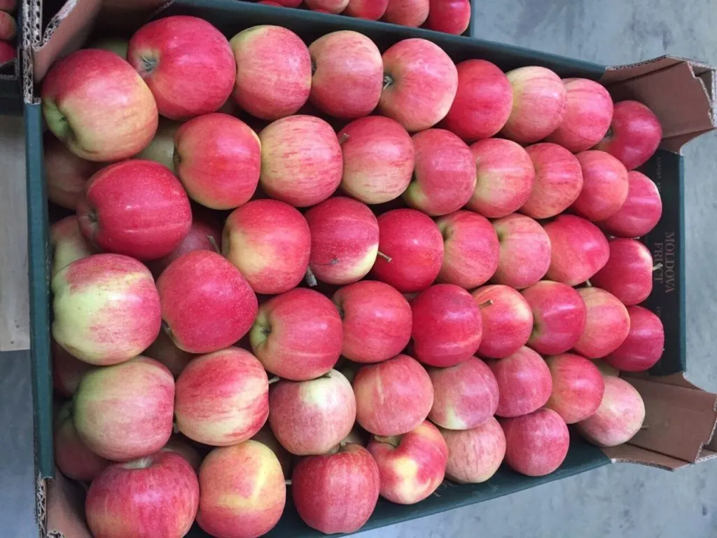 яблоко сезонное