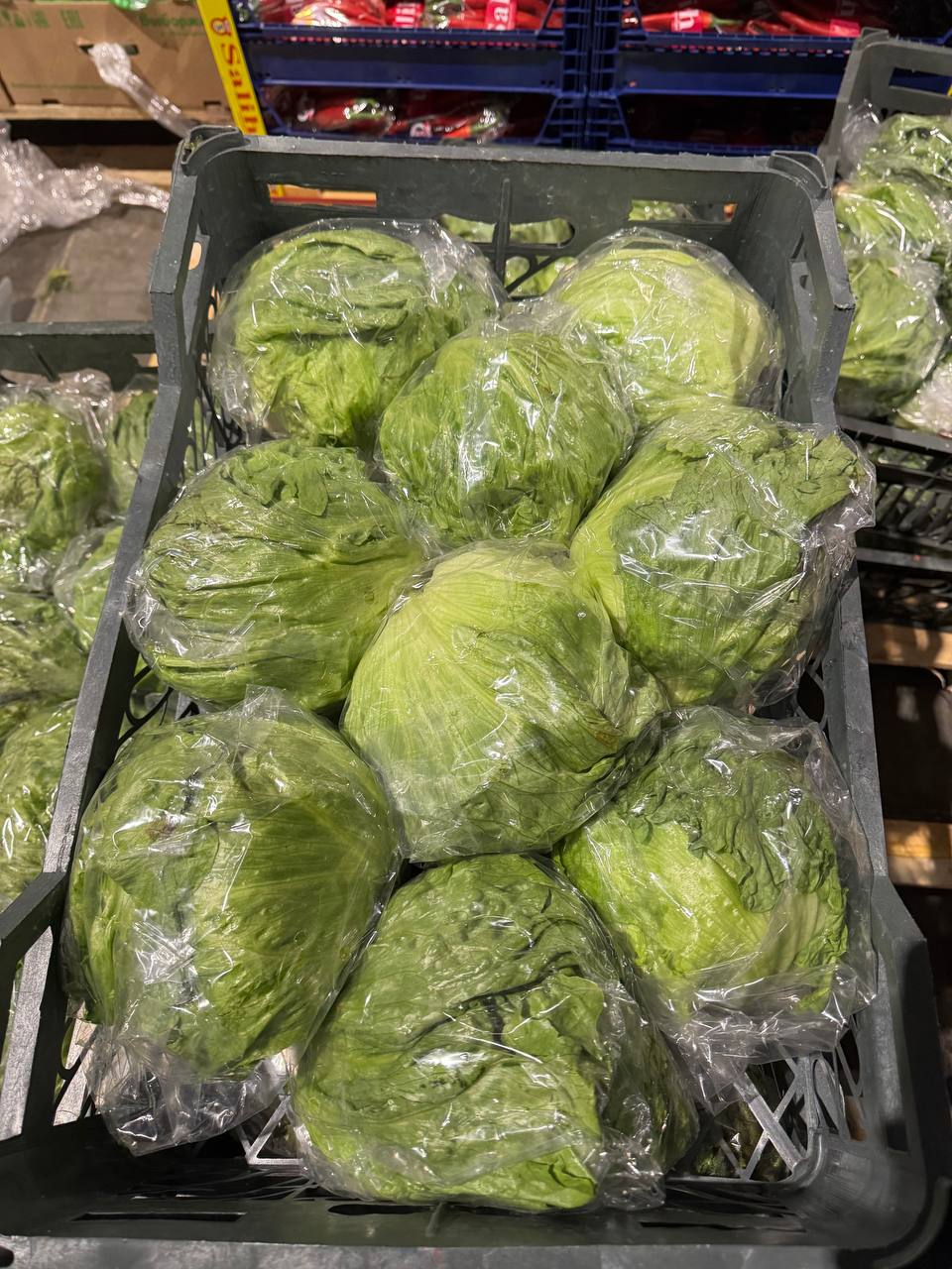 салат айсберг